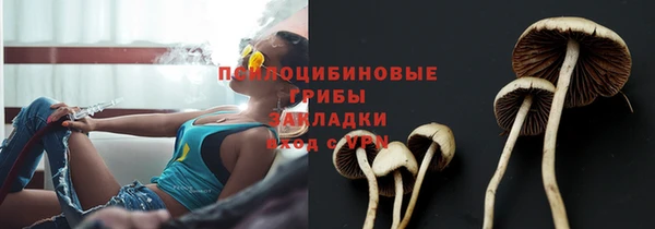 ГАЛЛЮЦИНОГЕННЫЕ ГРИБЫ Алексин